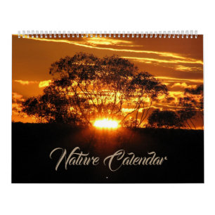 Natur Tier Erde Willkommen Zu Hause Schicksal Schi Kalender