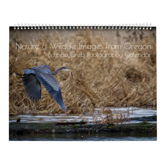 Natur- und Wildtierbilder aus Oregon Kalender (Titelbild)