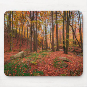 Natur, Wald, Bäume Mousepad