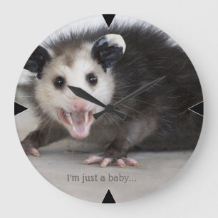 Natur-Wanduhr des lustigen Opossum-Fotos Große Wanduhr