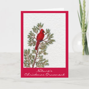 Natur, Weihnachtsverzierung Feiertagskarte
