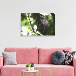 Natur Wildtiere Outdoor Spinnennetz Fotografie Kun Leinwanddruck