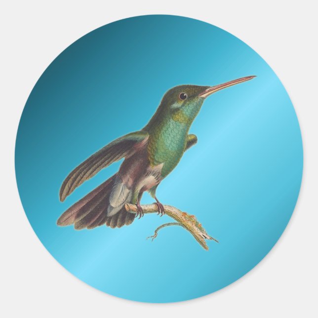 Natur Wildvögel Hummingbird Runder Aufkleber (Vorderseite)
