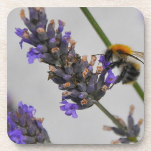 Natur Wunderbare Arbeiter Getränkeuntersetzer