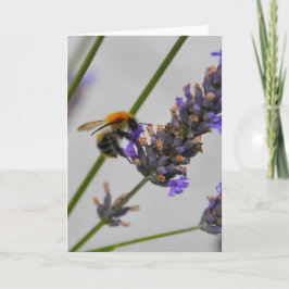 Natur Wunderbare Arbeiter Karte