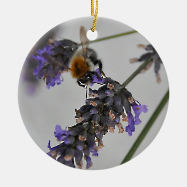 Natur Wunderbare Arbeiter Keramik Ornament (Vorne)