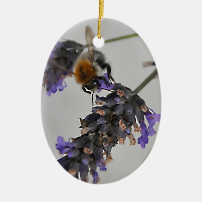 Natur Wunderbare Arbeiter Keramikornament (Vorne)