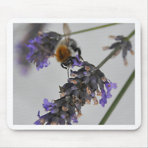 Natur Wunderbare Arbeiter Mousepad