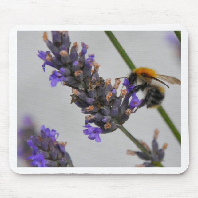 Natur Wunderbare Arbeiter Mousepad (Vorne)