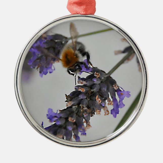 Natur Wunderbare Arbeiter Ornament Aus Metall (Vorne)