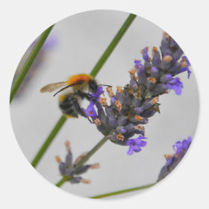 Natur Wunderbare Arbeiter Runder Aufkleber