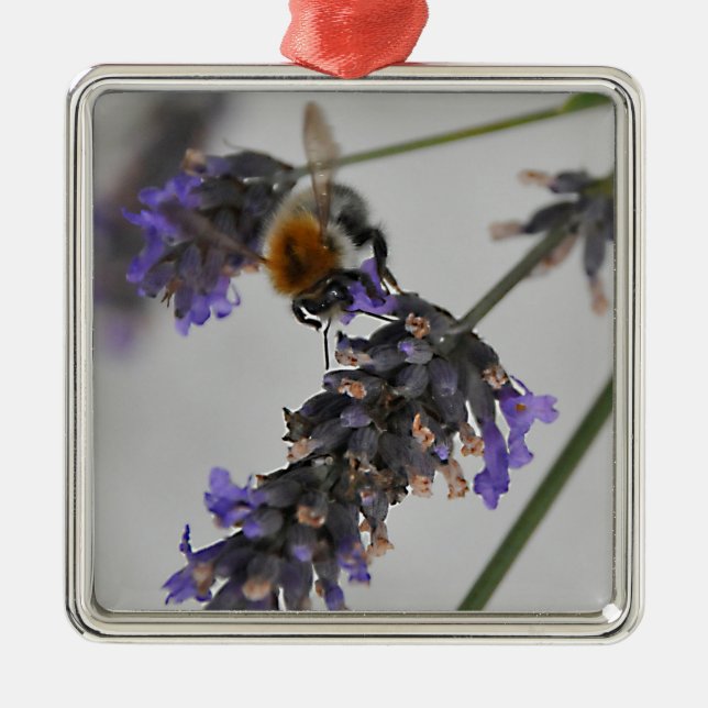 Natur Wunderbare Arbeiter Silbernes Ornament (Vorne)