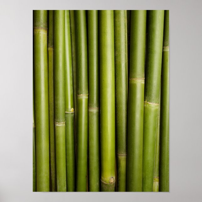 Natural Bamboo Zen Background Customized Template Poster (Vorne)