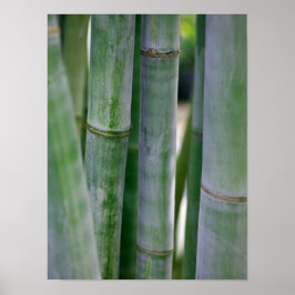 Natural Bamboo Zen Background Customized Template Poster