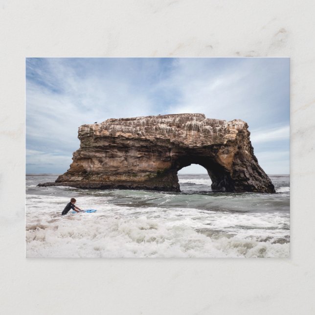 Natural Bridges State Beach of Santa Cruz Postkarte (Vorderseite)
