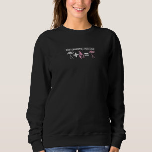Natural Flamingo + Shrimp Crawfish Shellfish Pink Sweatshirt