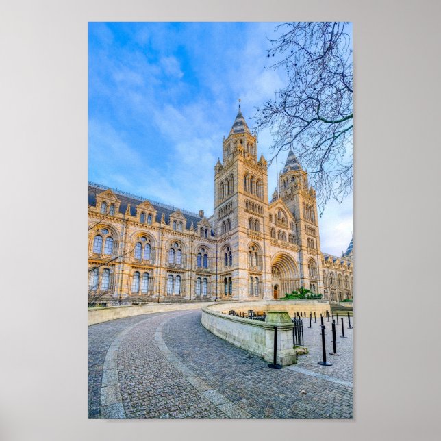Natural History Museum, London Poster Print (Vorne)