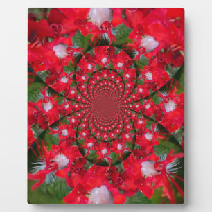 Natural Red Blume White Feather kaleidoscope art Fotoplatte