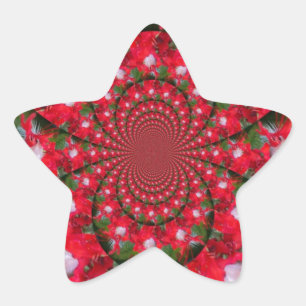 Natural Red Blume White Feather kaleidoscope art Stern-Aufkleber