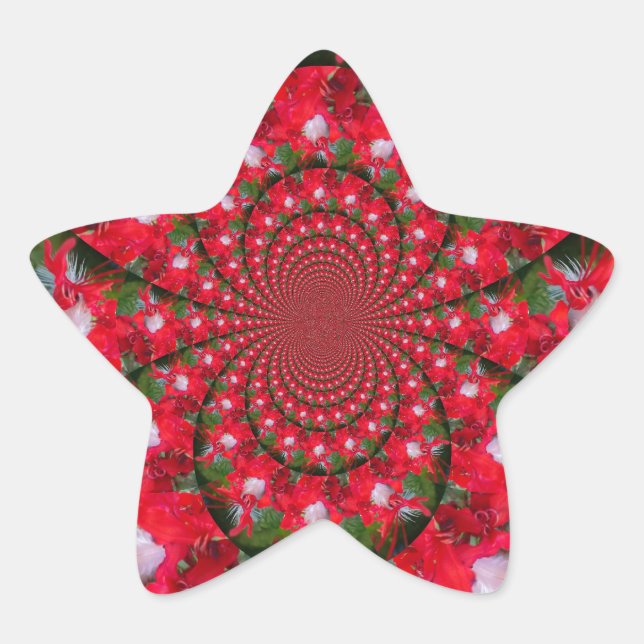 Natural Red Blume White Feather kaleidoscope art Stern-Aufkleber (Vorderseite)