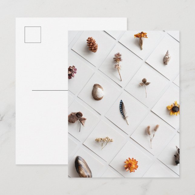 Natural Specimen Collection Minimalist Postkarte (Vorne/Hinten)