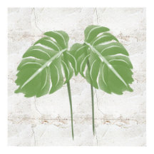 Naturale Abstrakt Monstera Blätter Rustikal