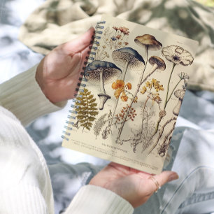 Naturaliste de champignons vintages