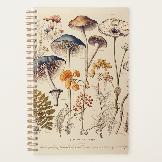 Naturaliste de champignons vintages (Devant)