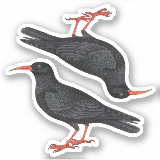 Naturalistische Rotkehlchen (fL) - Kontakt Aufkleber (Vorderseite)