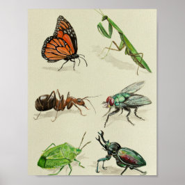 naturalistische und wissenschaftliche Darstellung Poster