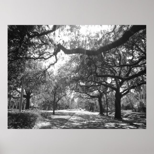 Naturarmee Poster (Vorne)