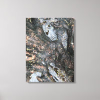 Naturbaum Roots Rainy Day Puddle Foto Art