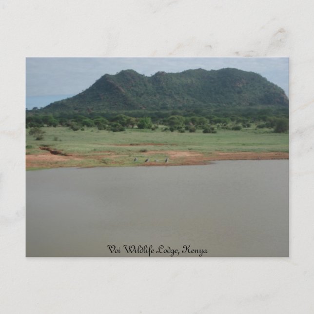 Naturblick von der Voi wildlife Lodge, Kenia Postkarte (Vorderseite)