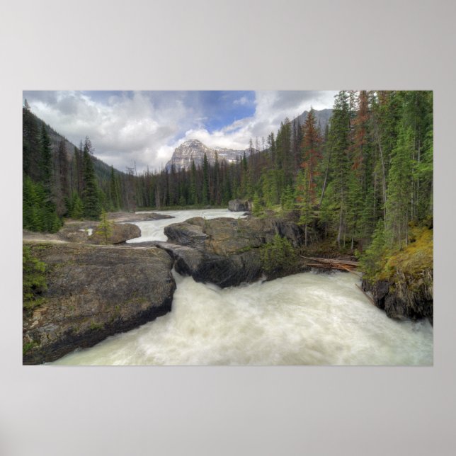 Naturbrücke Poster (Vorne)