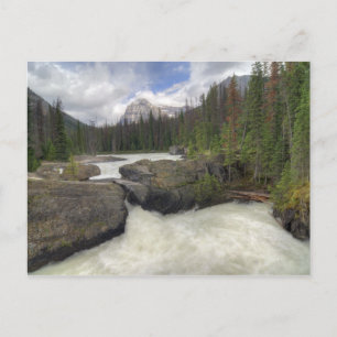 Naturbrücke Postkarte