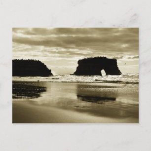 Naturbrücken Staat Beach Postkarte