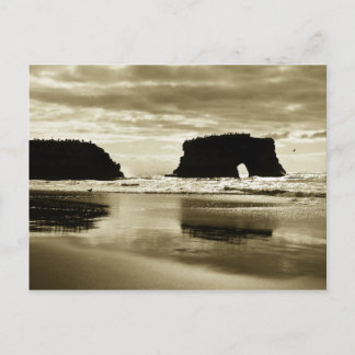 Naturbrücken Staat Beach Postkarte
