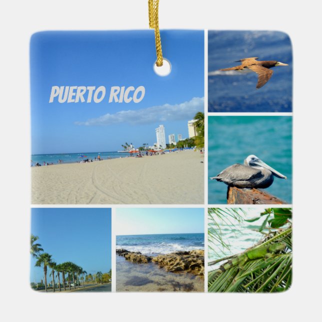 NaturCollage von San Juan, Puerto Rico Keramikornament (Vorderseite)