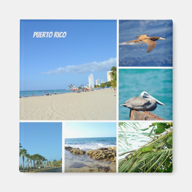 NaturCollage von San Juan, Puerto Rico Magnet (Vorne)