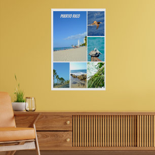 NaturCollage von San Juan, Puerto Rico Poster