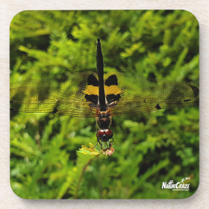 NaturCraze B&Y Dragonfly Untersetzer aus hartem Ku