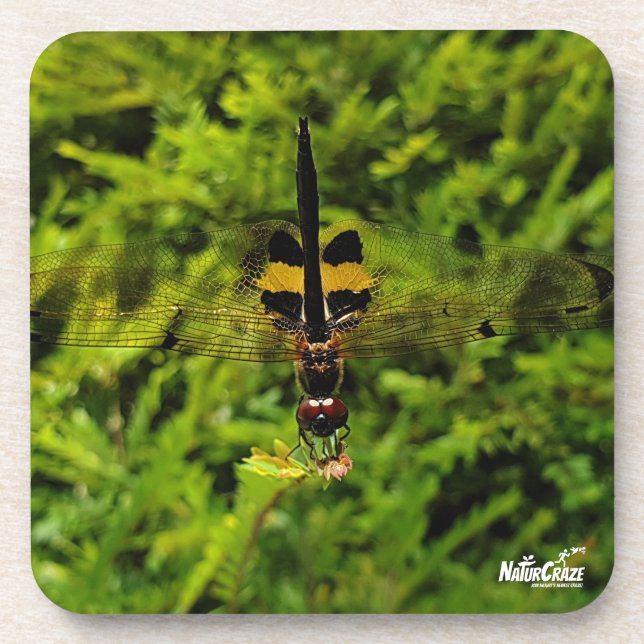 NaturCraze B&Y Dragonfly Untersetzer aus hartem Ku (Vorderseite)