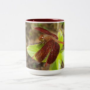 NaturCraze Mug de libellules rouges et noires