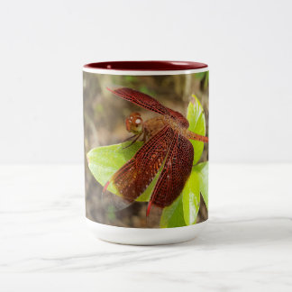NaturCraze Mug de libellules rouges et noires