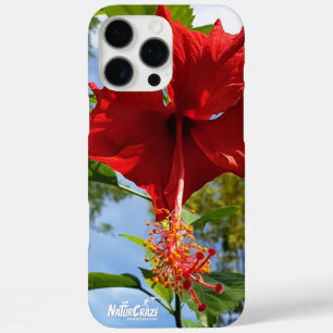 NaturCraze Rouge Hibiscus Fleur iPhone / coque ipa