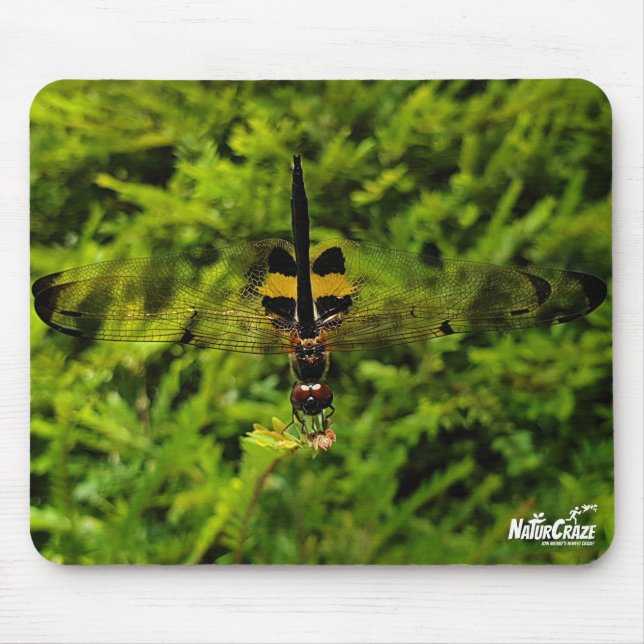 NaturCraze Schwarz-Gelbe Libfliegenmousepad Mousepad (Vorne)