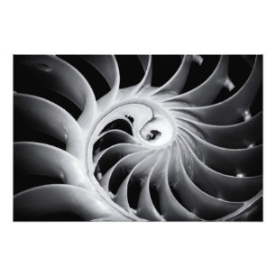 Naturdesign Fotodruck