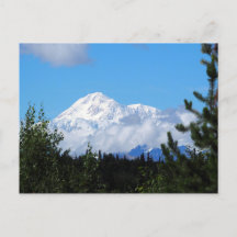 Nature Alaska Denali Landschaft Foto