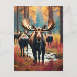 *~* Nature AP49 MOOSE Forest PINES STREAM Postkarte