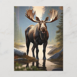 *~* Nature AP49 MOOSE Forest STREAM Woods Postkarte